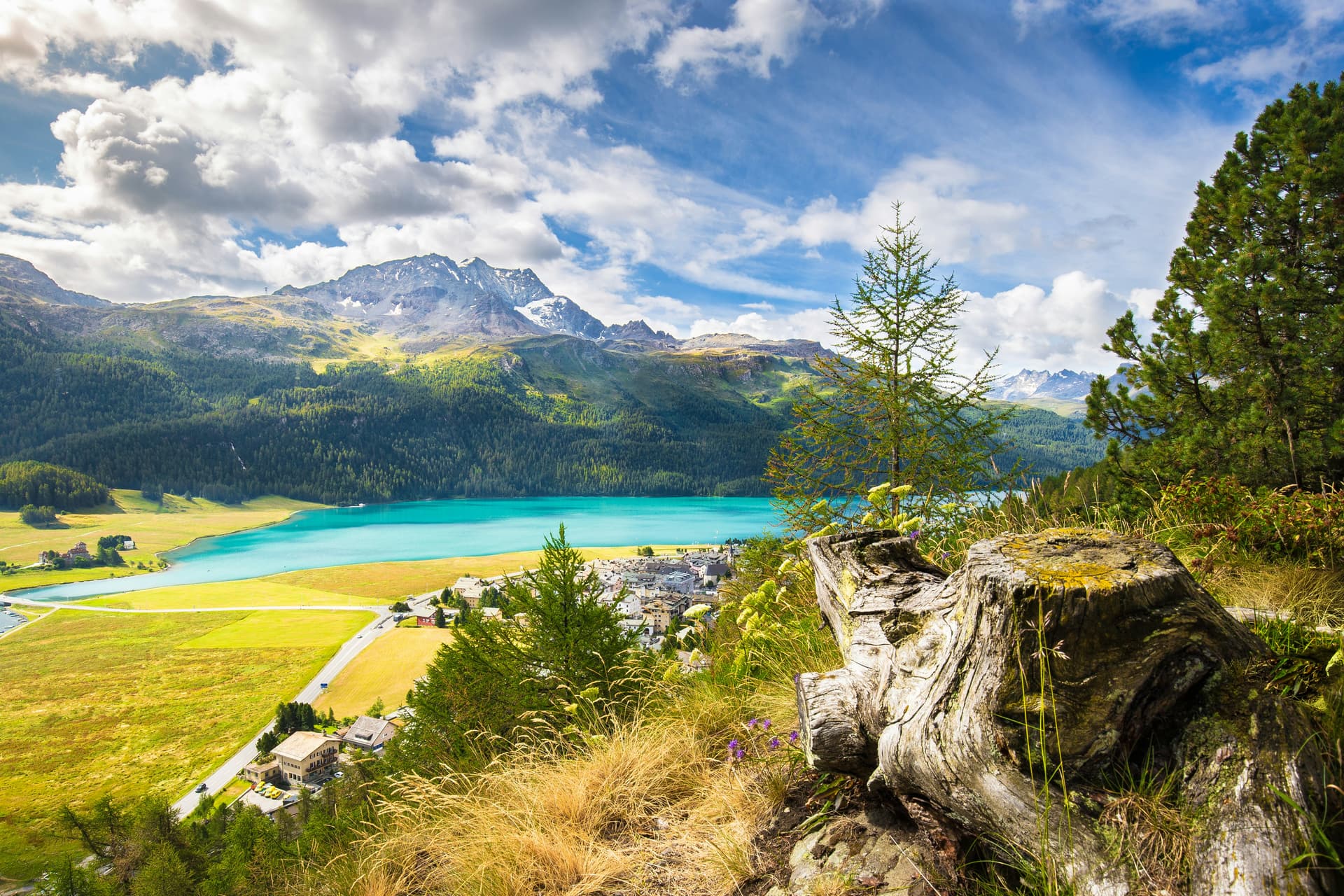 Foehn Wind Explained